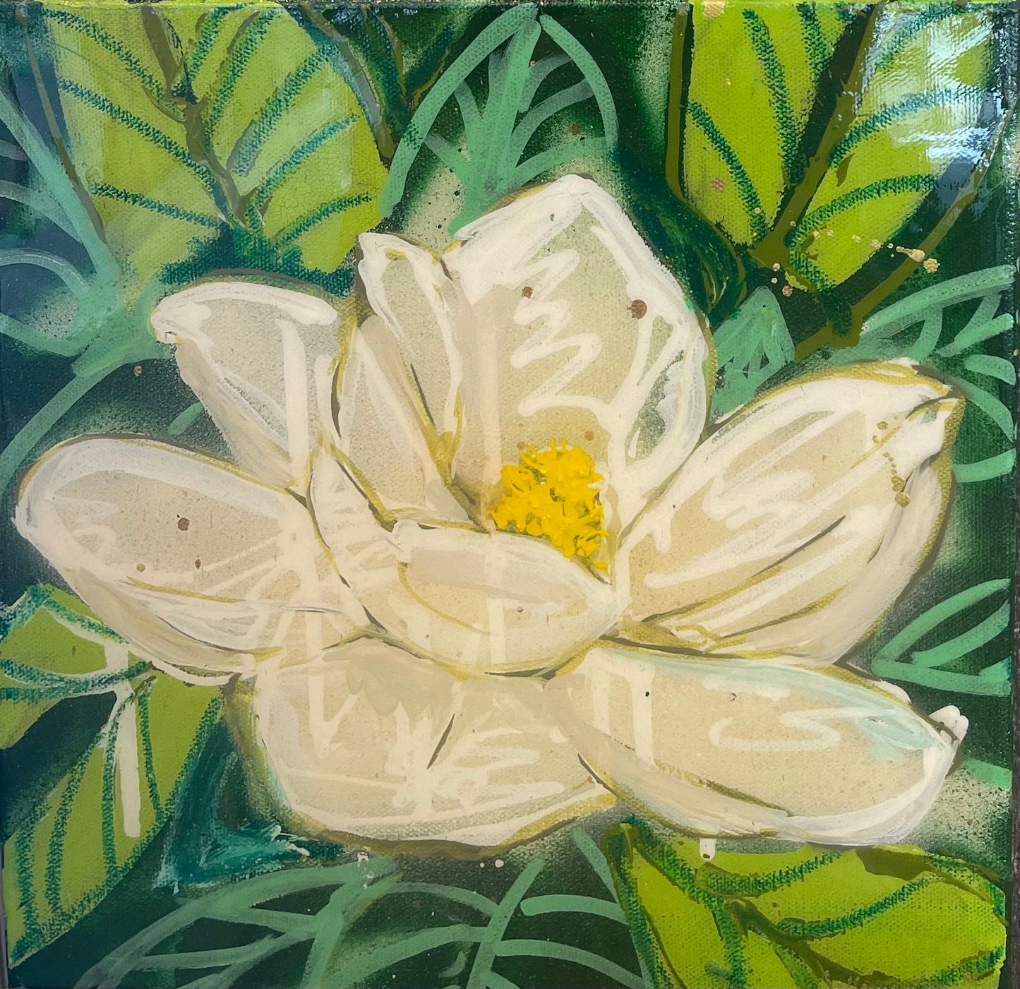Magnolia