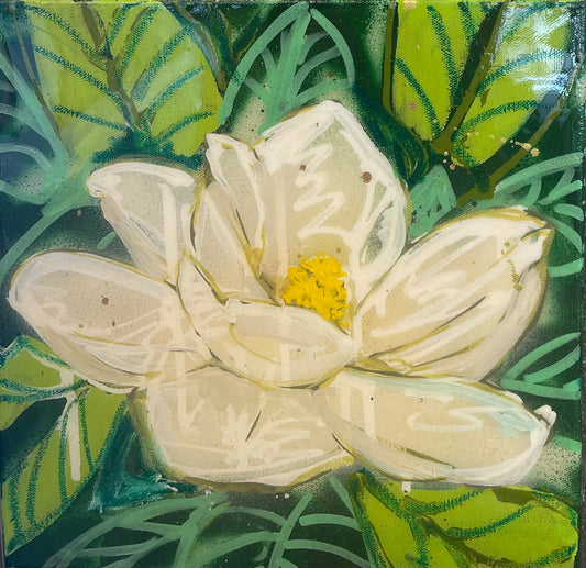 Magnolia