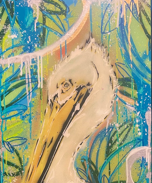 Pelican