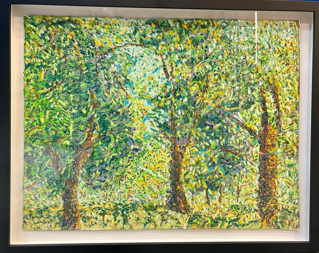 Oak Trees in New Orleans City Park II