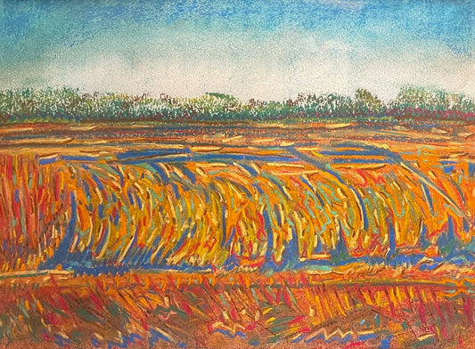 Rice Fields, Evangeline Parish