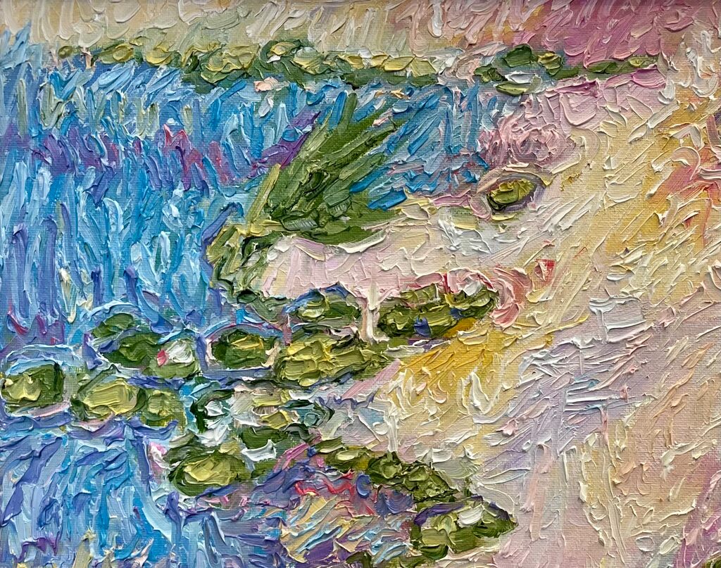 Lilypads