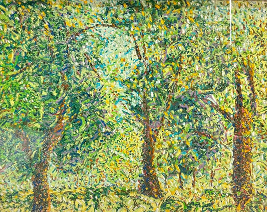 Oak Trees in New Orleans City Park II