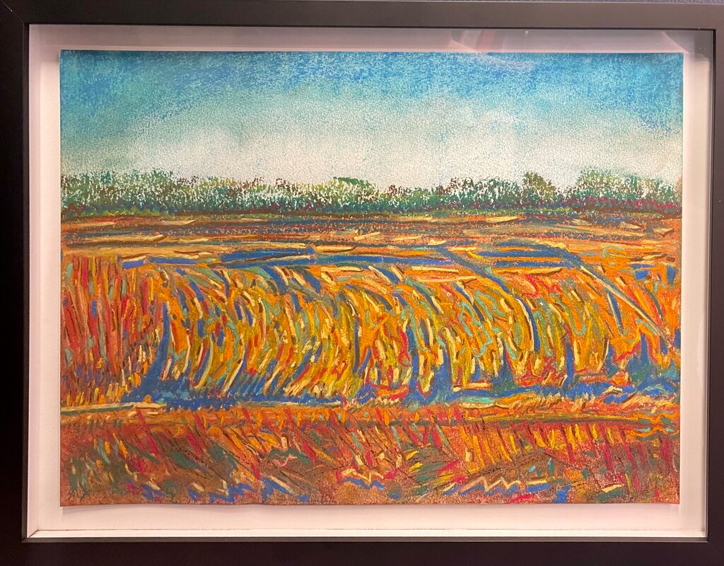 Rice Fields, Evangeline Parish